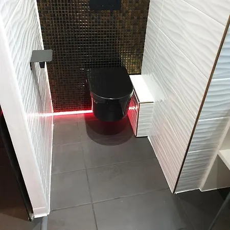Appartement Le Diamant Noir Villefranche-sur-Saône